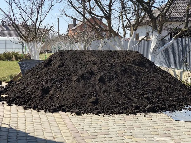 Чернозем от Мега Буд фото
