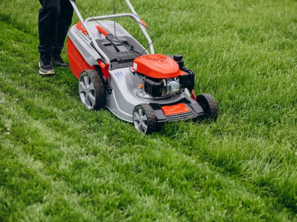 lawn-topdressing1